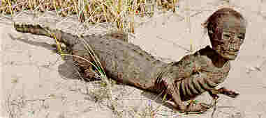 allboy.jpg (7049 bytes)