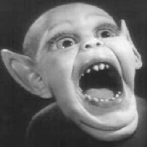 batboy.jpg (11547 bytes)