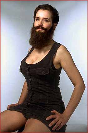 vbaard.jpg (16636 bytes)