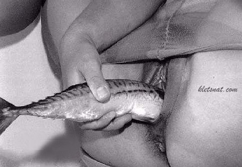 blub blub........de VaginaVis !