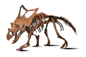 dino5.gif (17129 bytes)