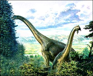 dino5.jpg (30693 bytes)