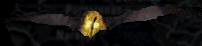 eye.gif (38262 bytes)