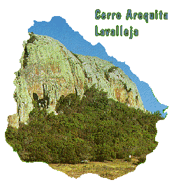 mountpic.gif (32852 bytes)