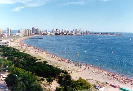 pic.jpg (40581 bytes)