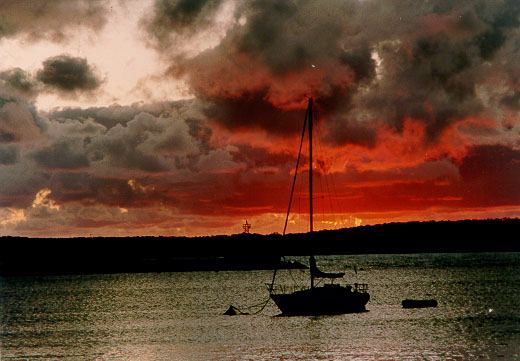 pic1.jpg (36446 bytes)