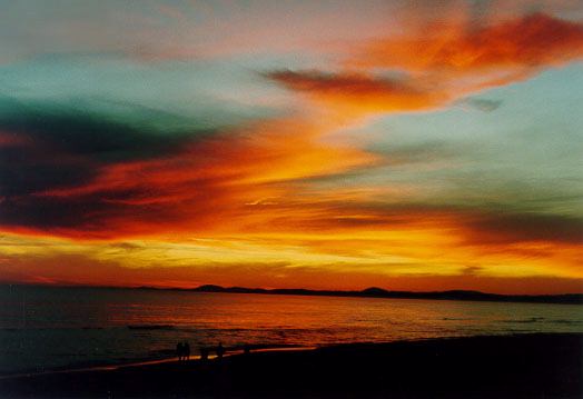 pic2.jpg (22076 bytes)