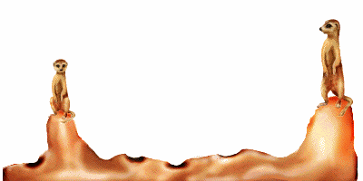 pop_mer.gif (33906 bytes)