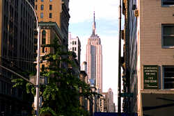 Empire State Building 2.jpg (9950 bytes)