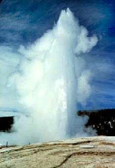 Old Faithful.jpg (11741 bytes)