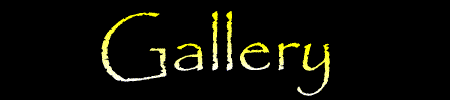 Gallery.gif (17061 bytes)