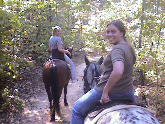 horse03.JPG (216766 bytes)