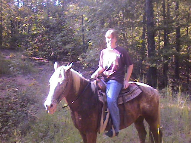 horse04.JPG (244922 bytes)