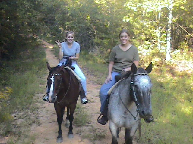 horse09.JPG (224575 bytes)