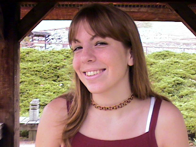 pic010.JPG (200718 bytes)