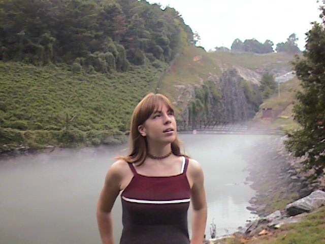 pic011.JPG (170505 bytes)