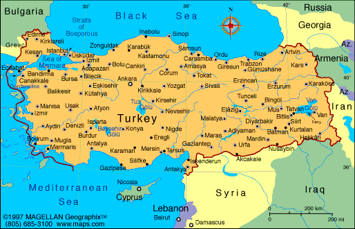 mturkey.gif (34579 bytes)