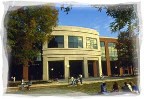 hey come and see The Tigers   meowwww!!! meowwwwww!!!