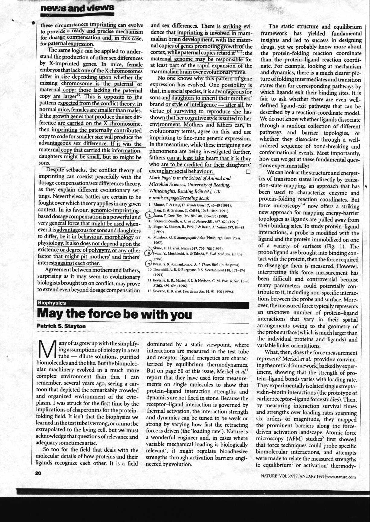 agreement_1.jpg (415065 bytes)