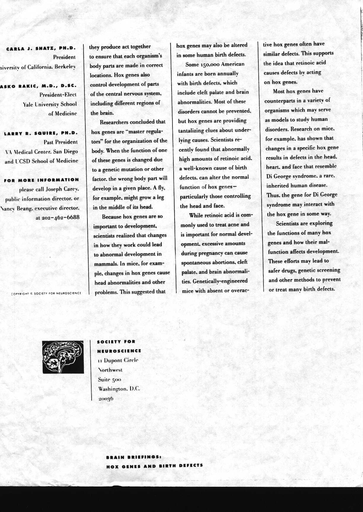 brainbrief_1.jpg (248548 bytes)