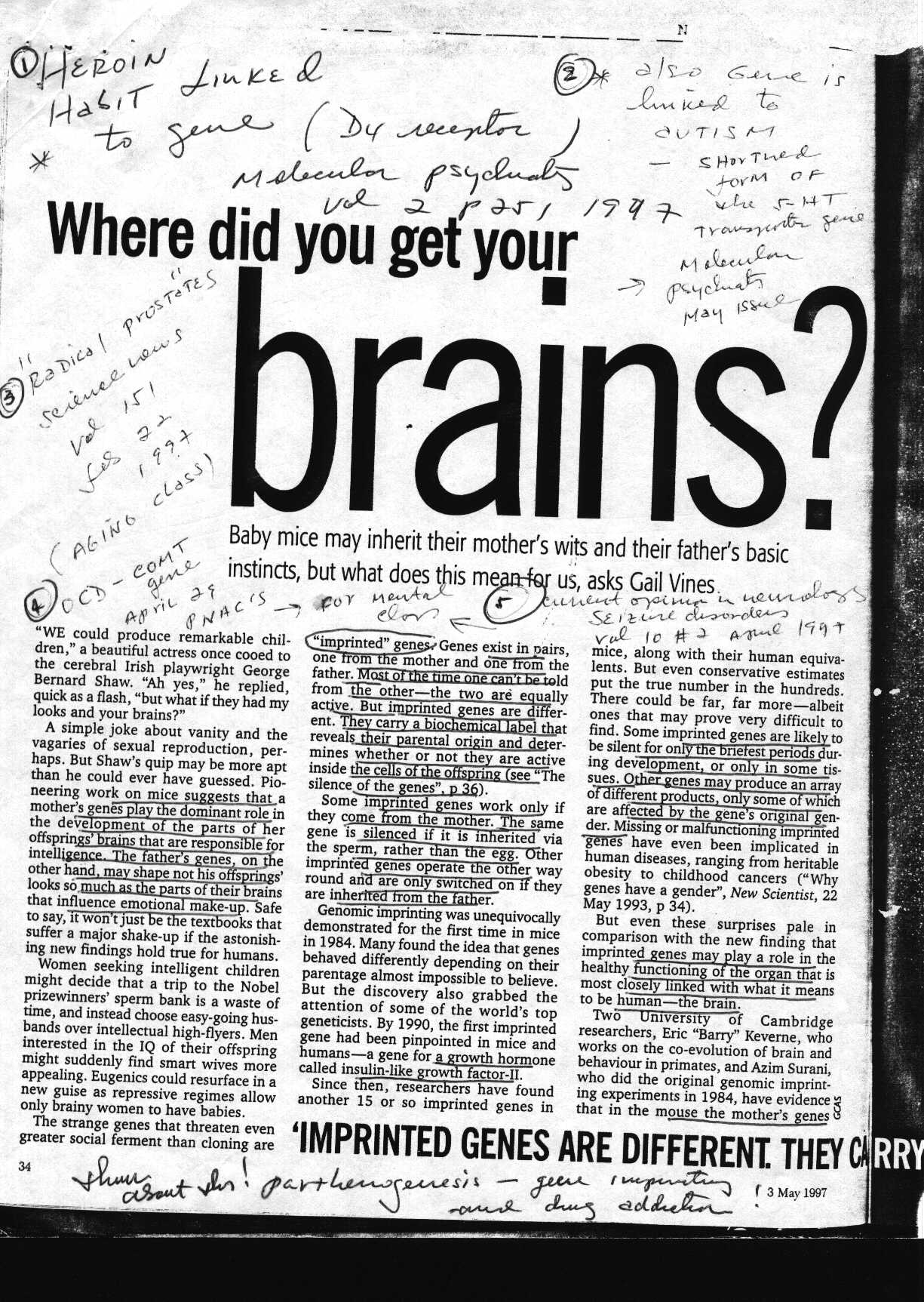 brains_1.jpg (354612 bytes)