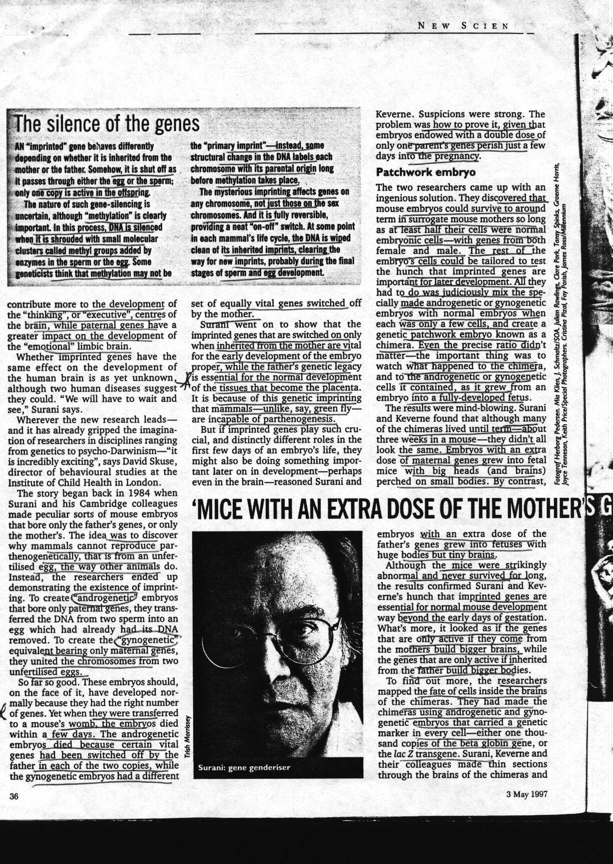 brains_1.jpg (354612 bytes)