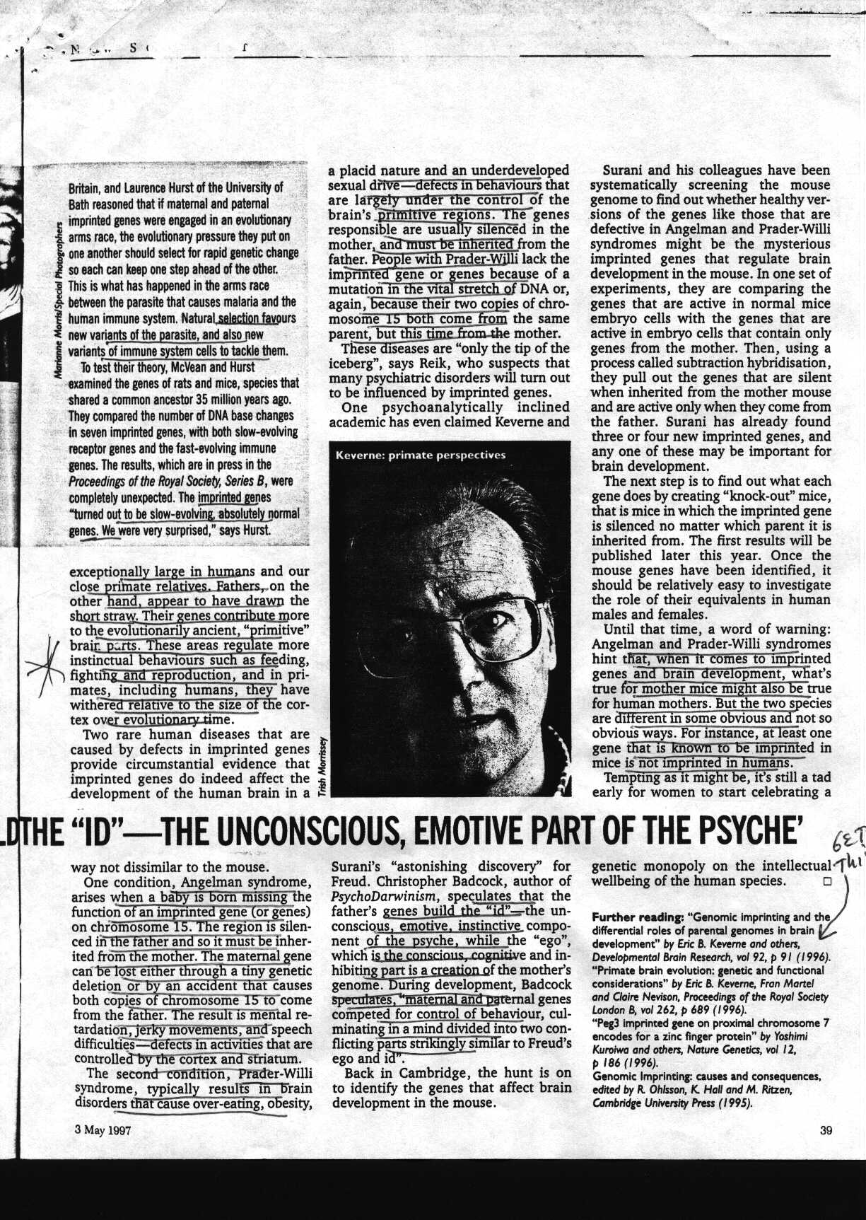 brains_1.jpg (354612 bytes)