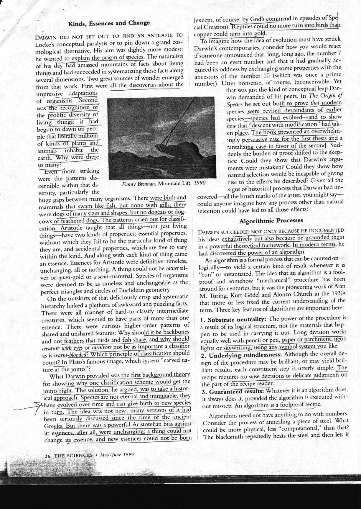 darwin_1.jpg (332964 bytes)