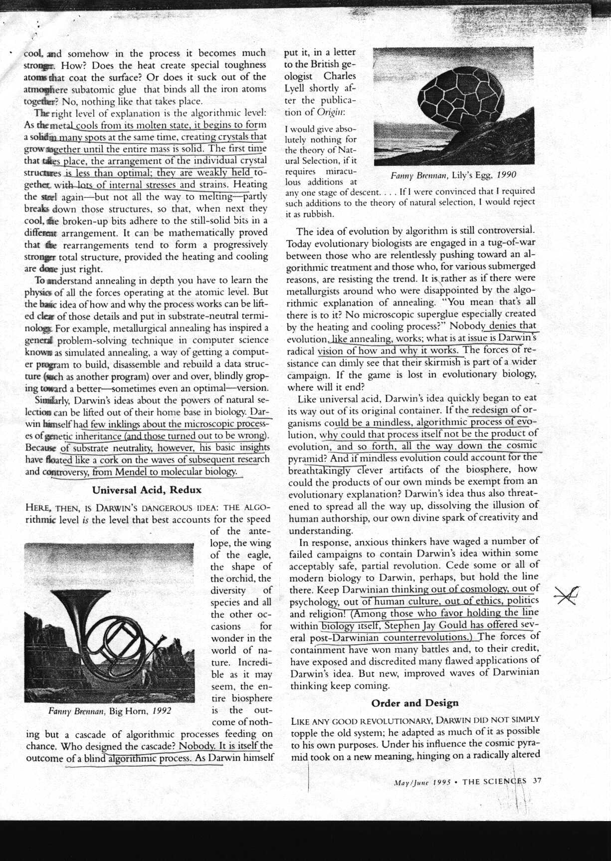 darwin_1.jpg (332964 bytes)