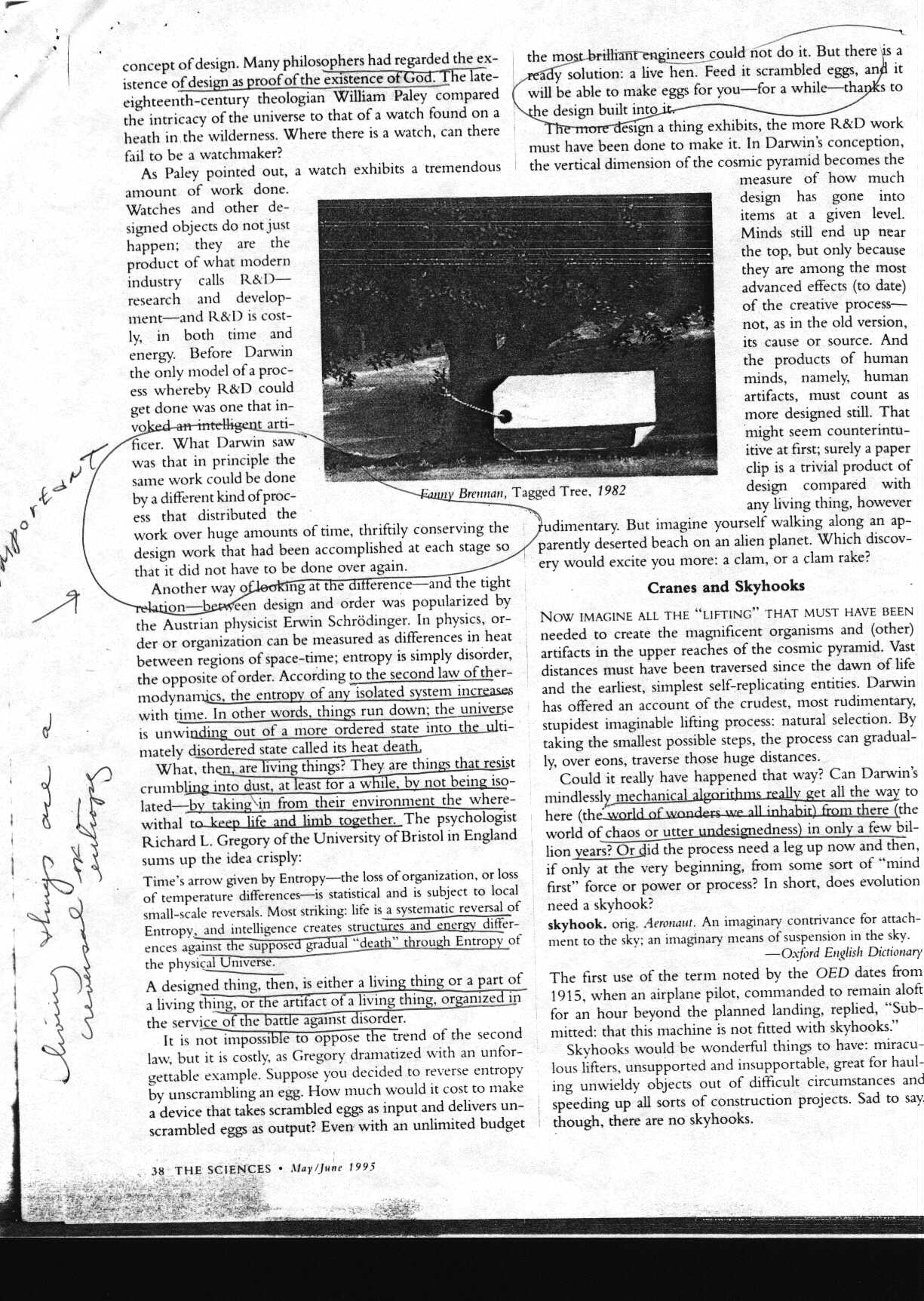 darwin_1.jpg (332964 bytes)