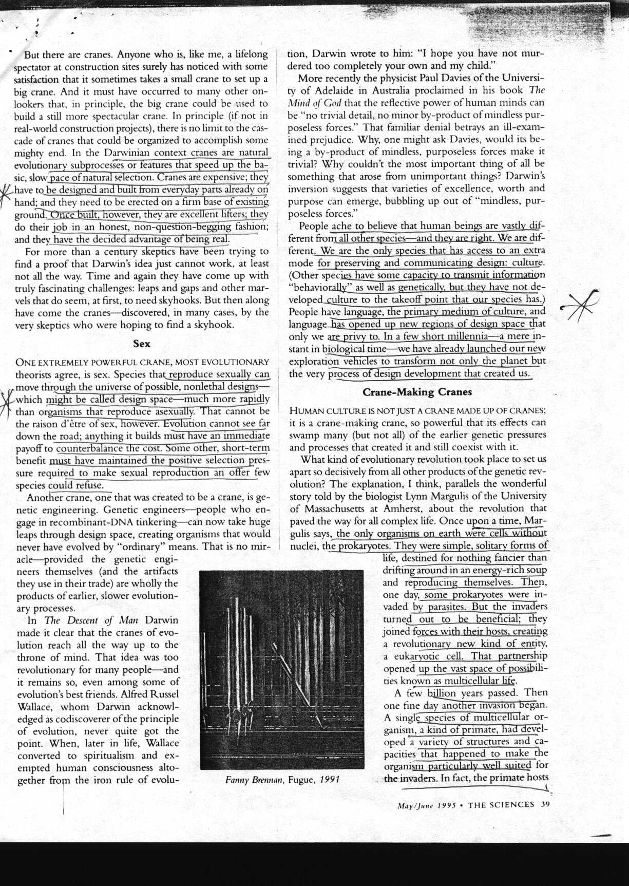 darwin_1.jpg (332964 bytes)