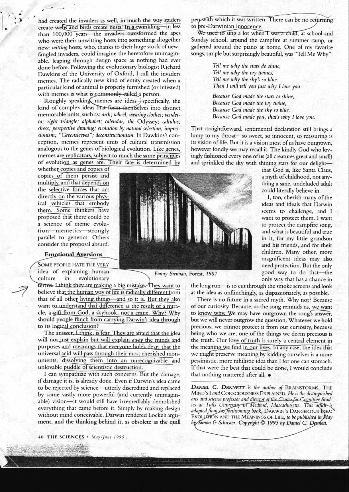 darwin_1.jpg (332964 bytes)