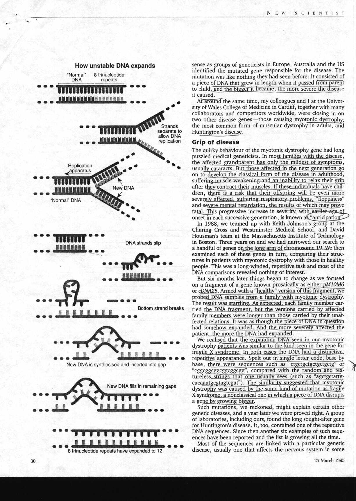 dna_1.jpg (376854 bytes)