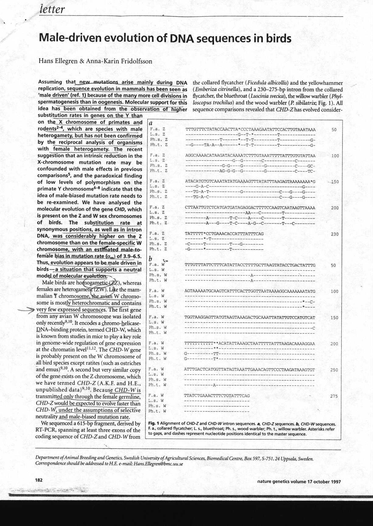 dnaseq_1.jpg (280435 bytes)