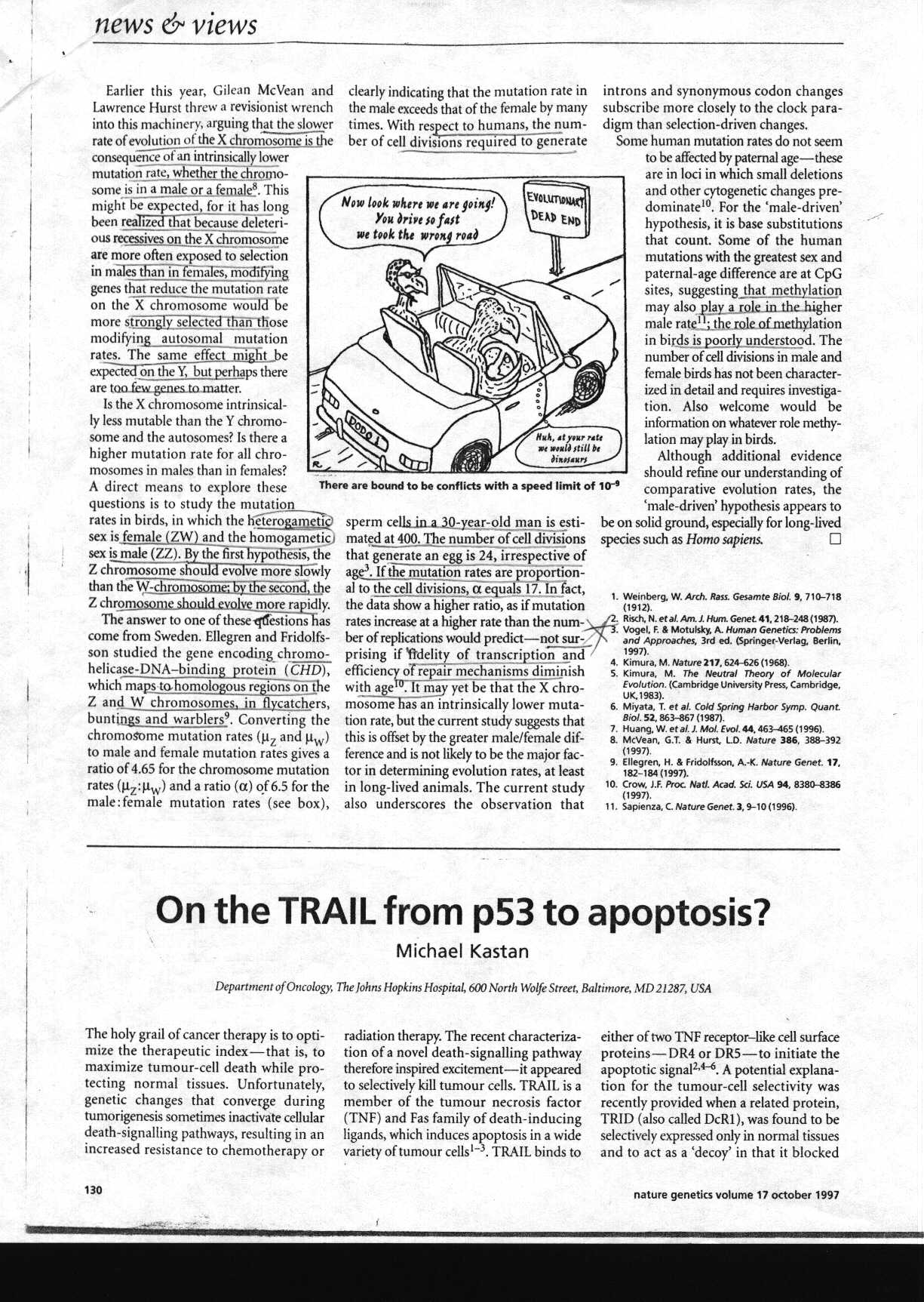 driversseat_1.jpg (339083 bytes)