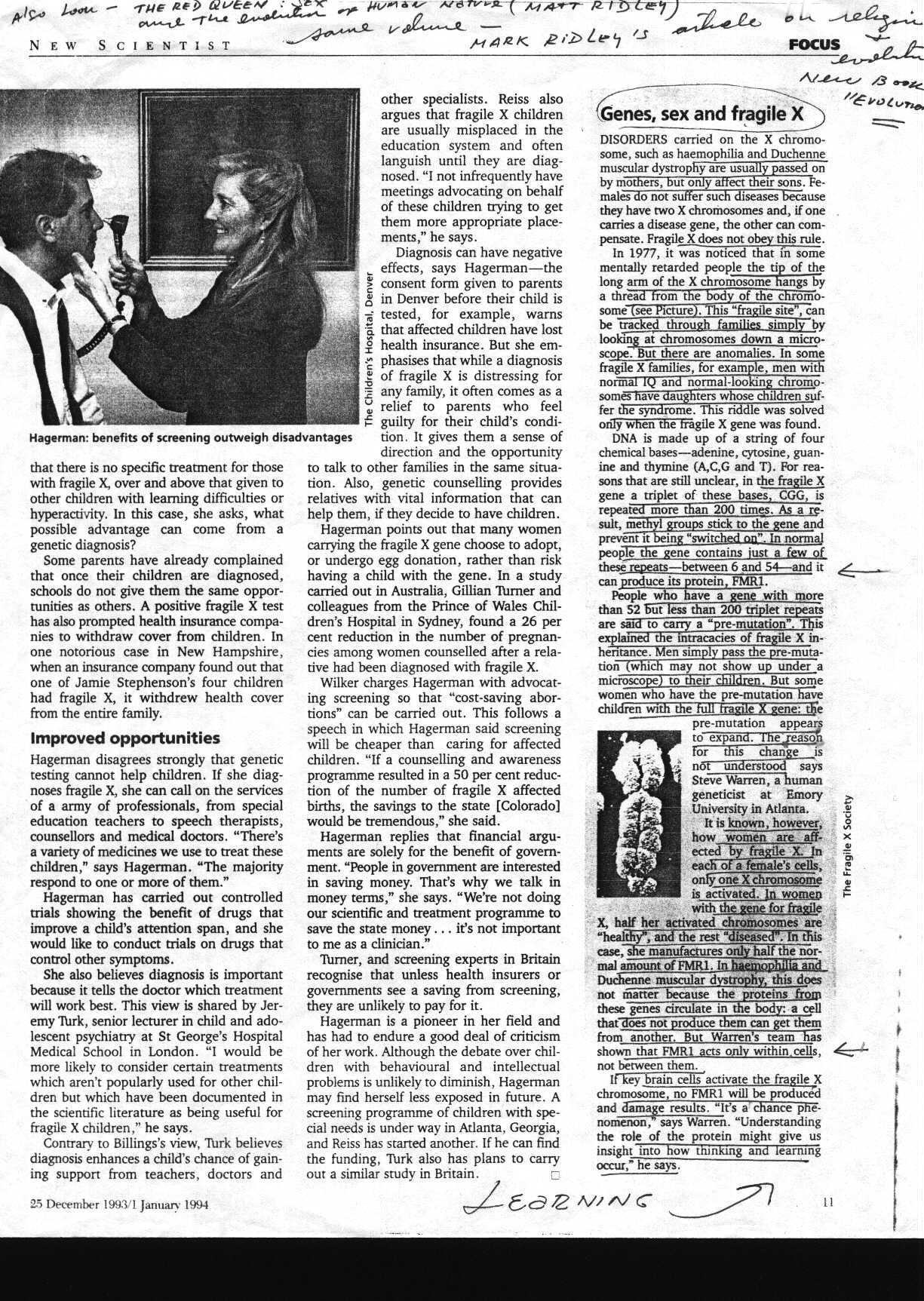 fragileX.jpg (406908 bytes)