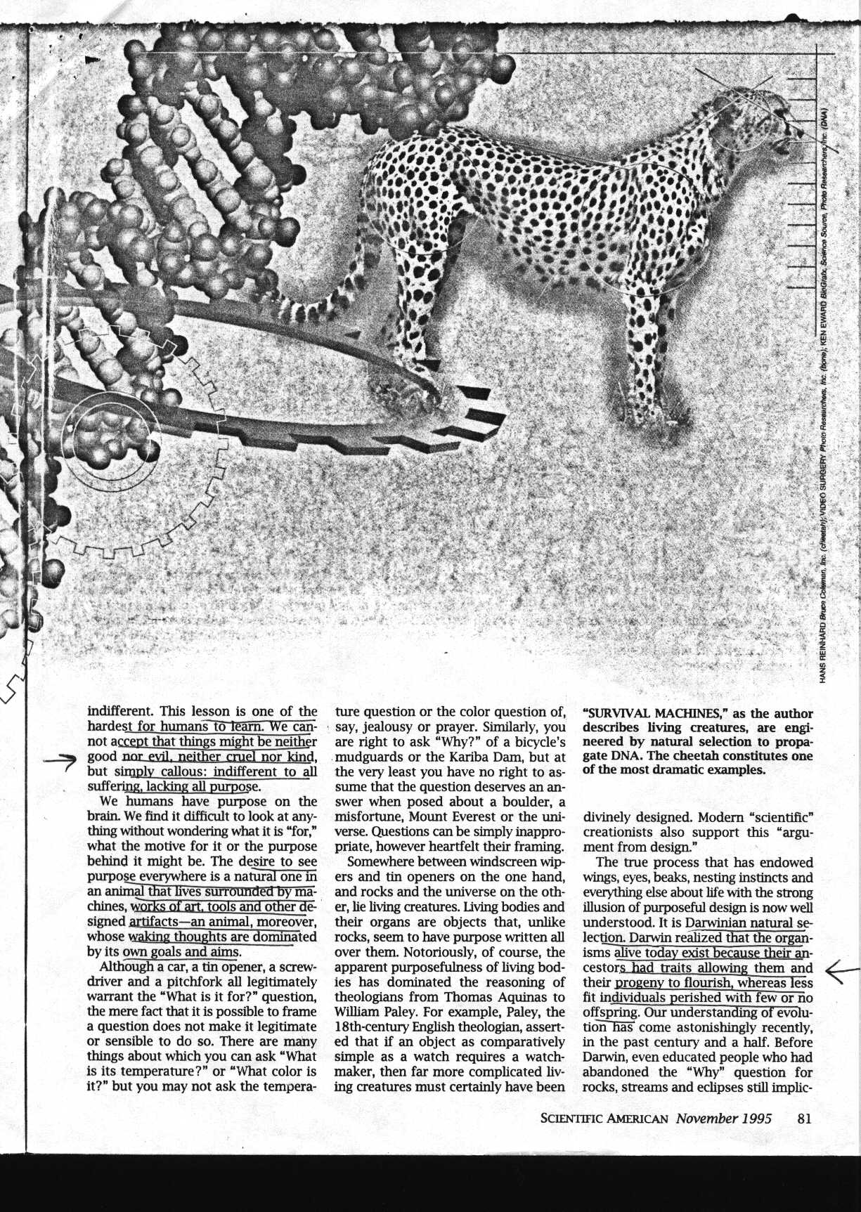 gods_1.jpg (283043 bytes)