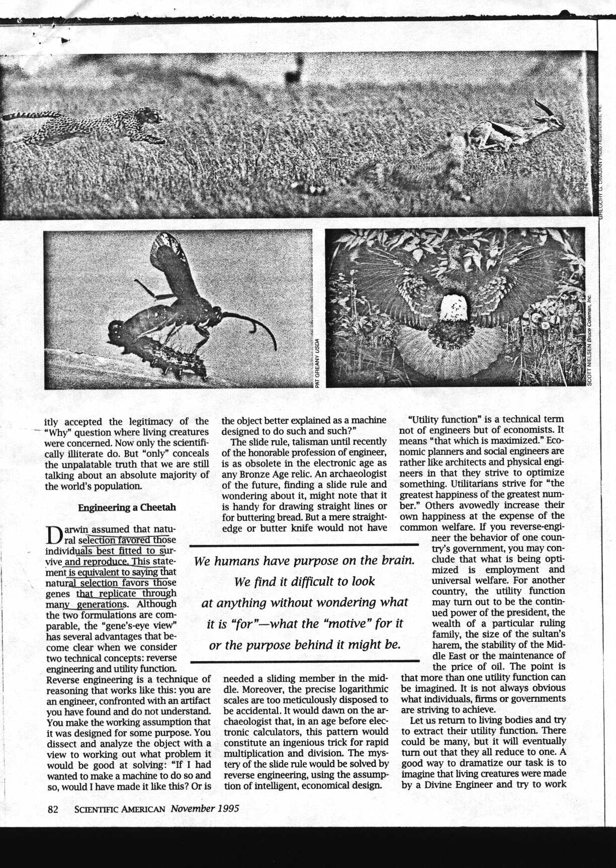 gods_1.jpg (283043 bytes)