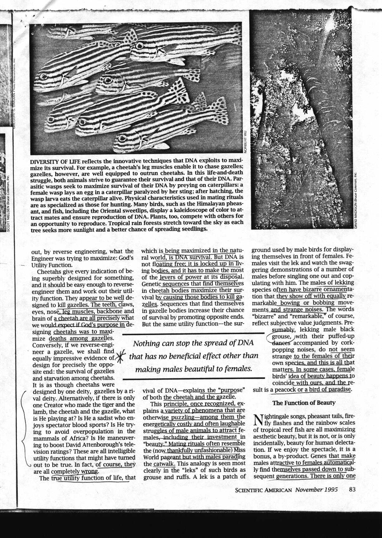 gods_1.jpg (283043 bytes)