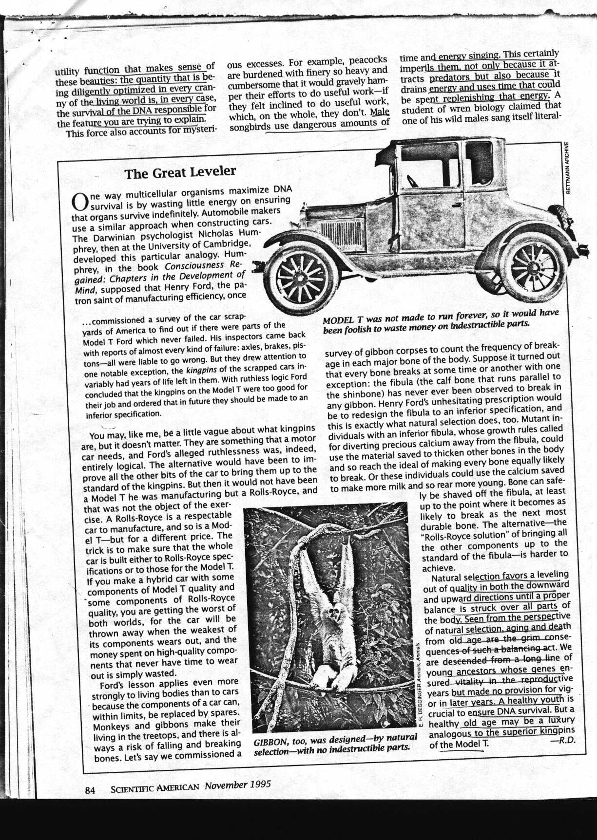 gods_1.jpg (283043 bytes)