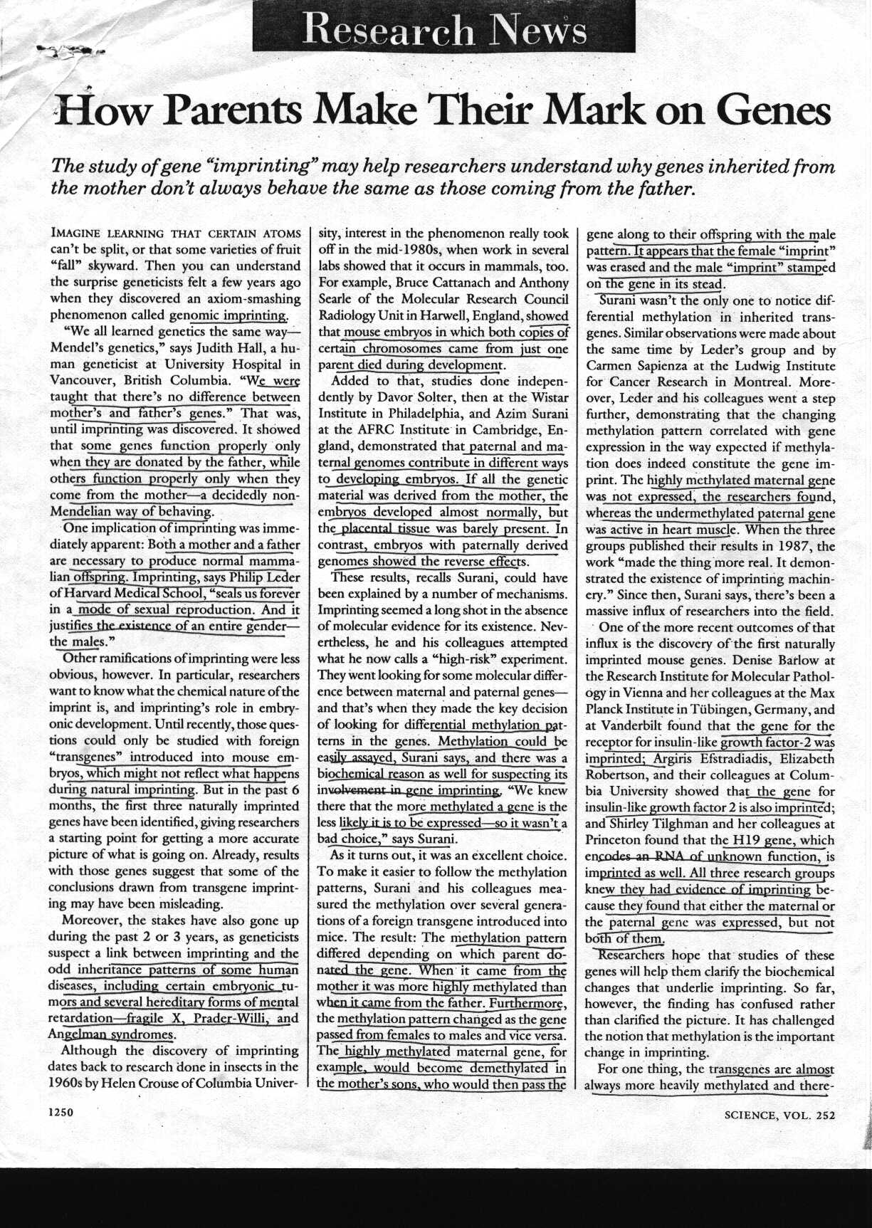 parents_1.jpg (412886 bytes)