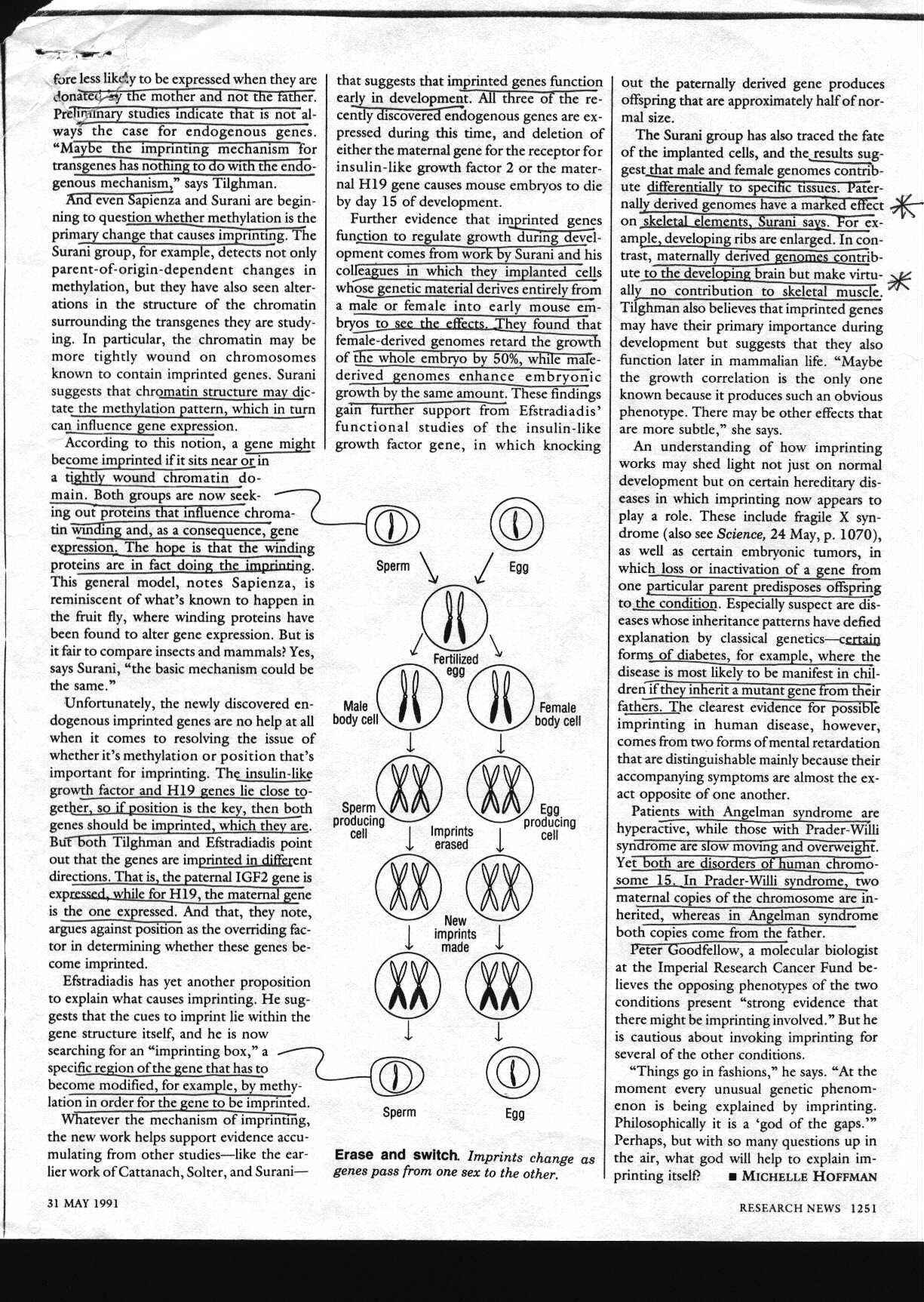 parents_1.jpg (412886 bytes)