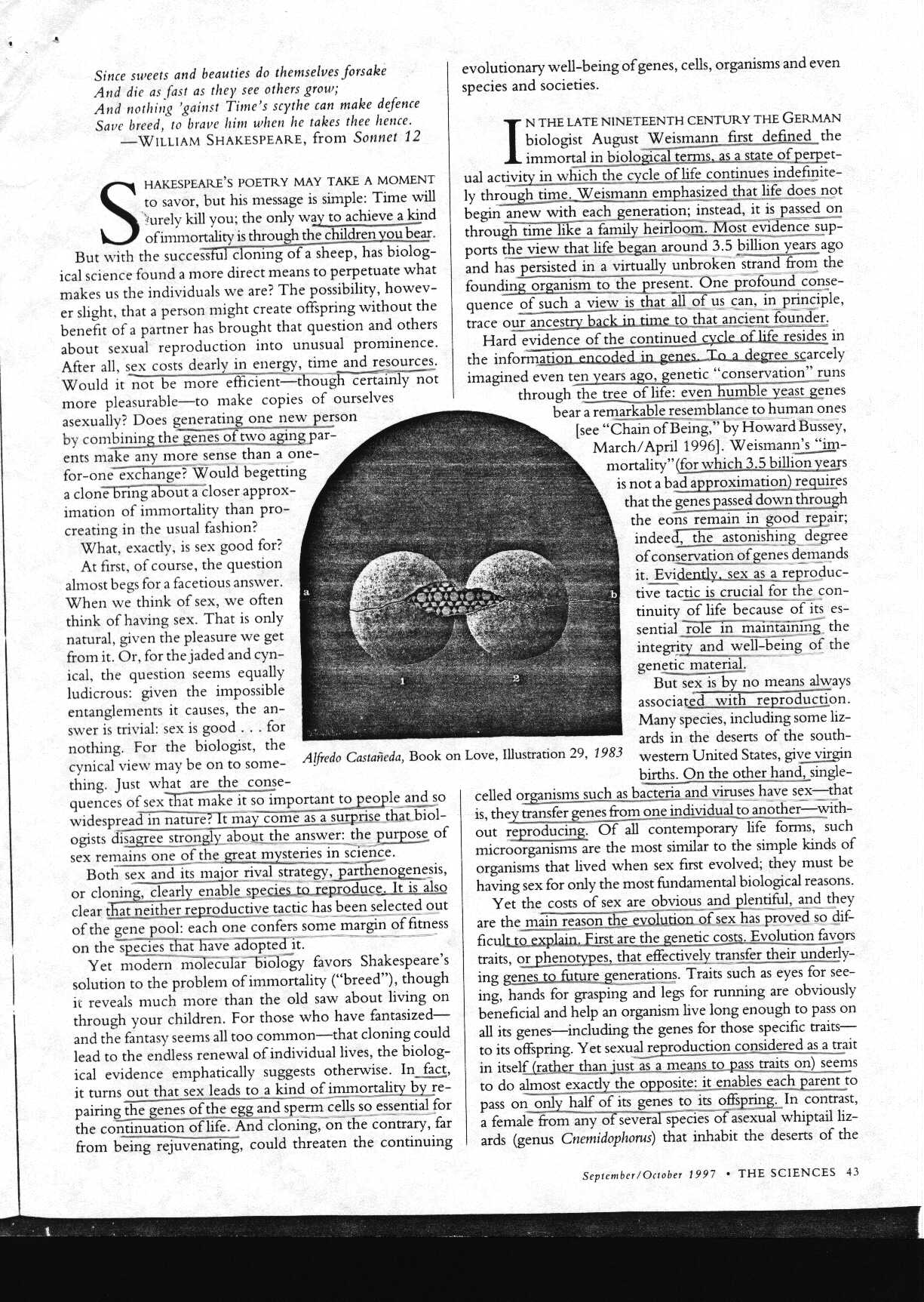 sex_1.jpg (383000 bytes)