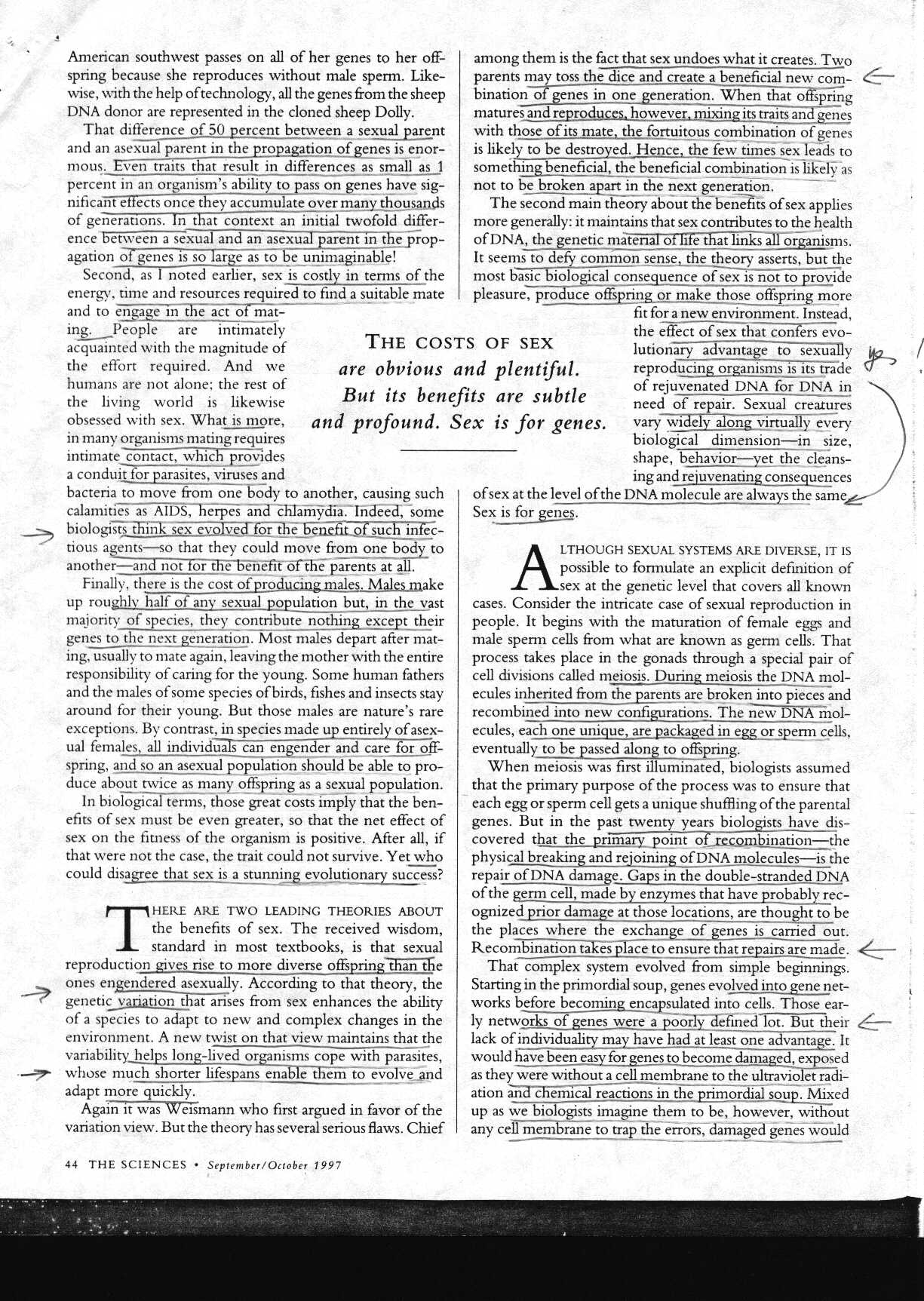 sex_1.jpg (383000 bytes)