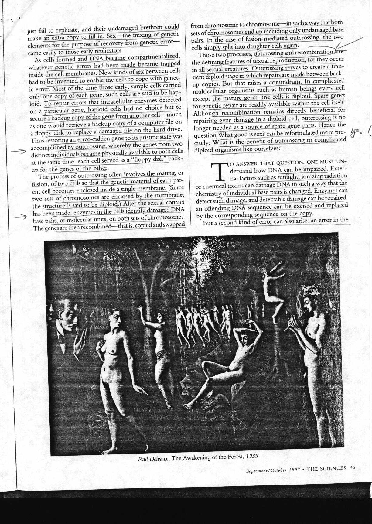 sex_1.jpg (383000 bytes)