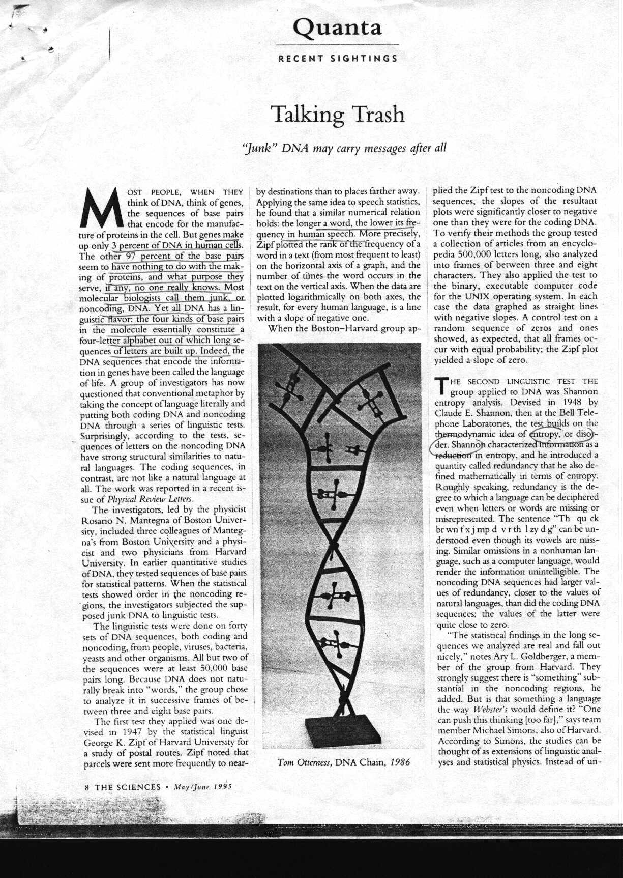 trash_1.jpg (330173 bytes)