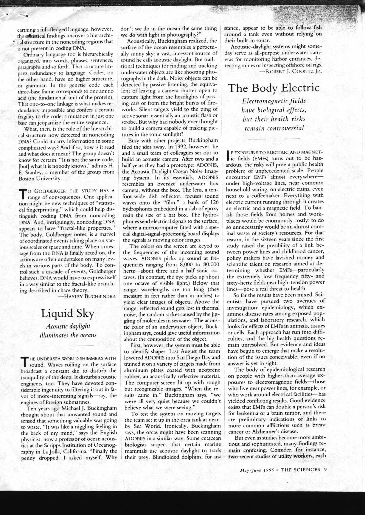 trash_1.jpg (330173 bytes)