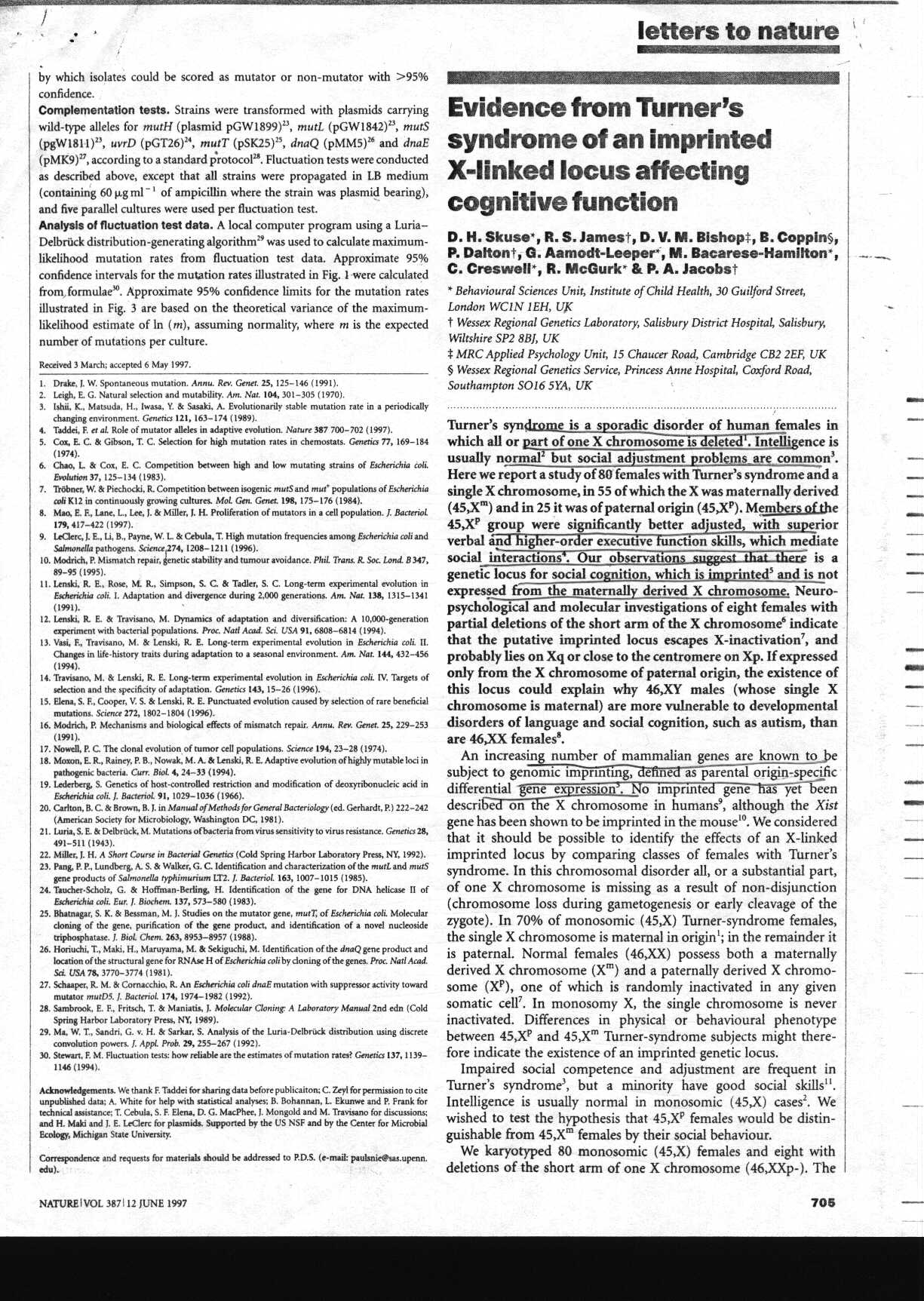 turners_1.jpg (371146 bytes)