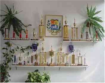 trofeos.jpg (10123 bytes)