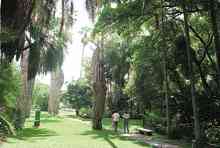 jardinb2.jpg (5540 bytes)